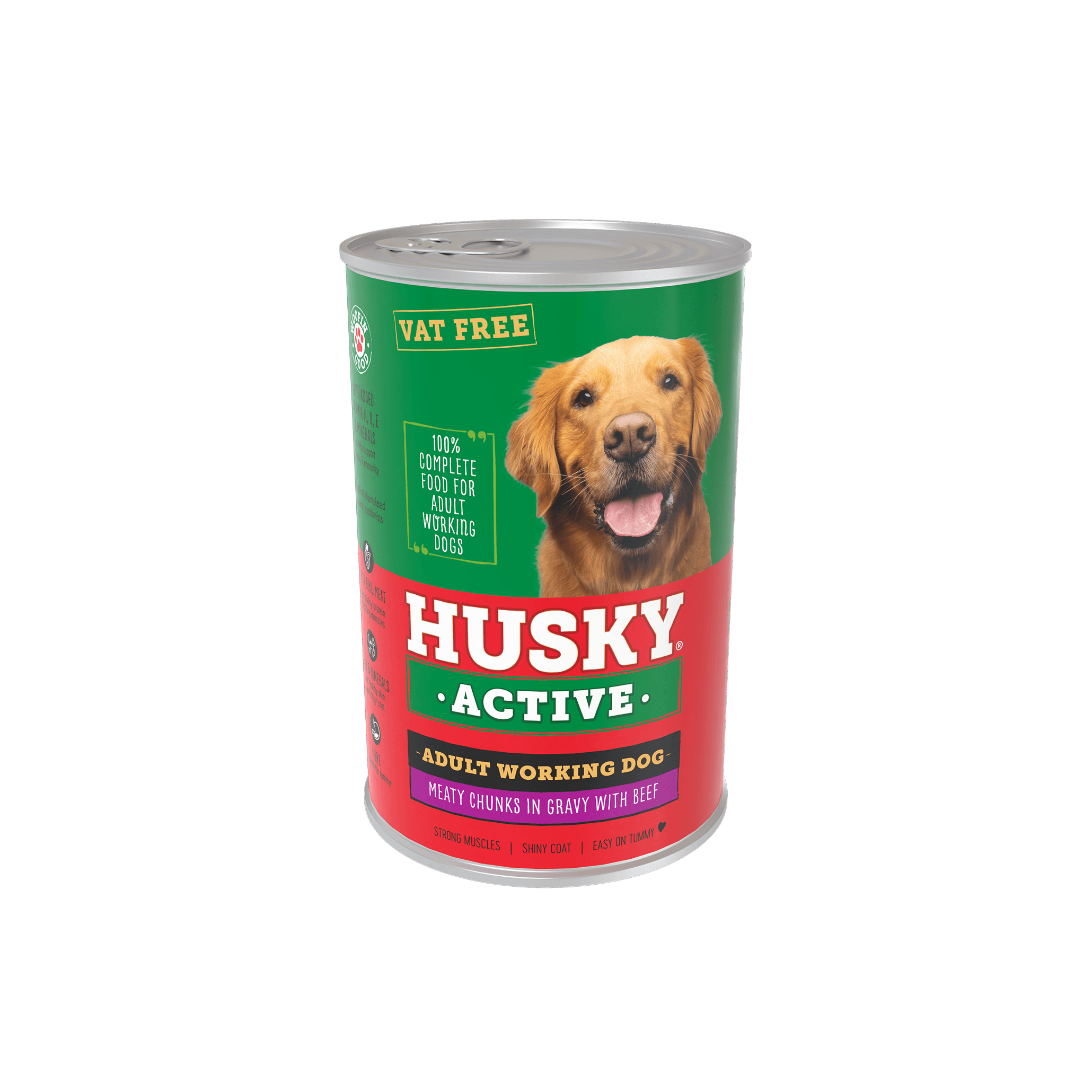 Husky_3