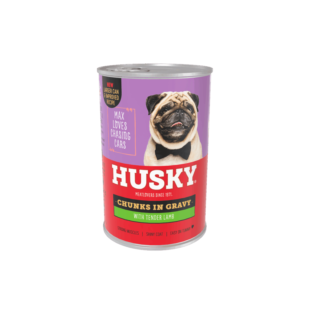 Husky_4