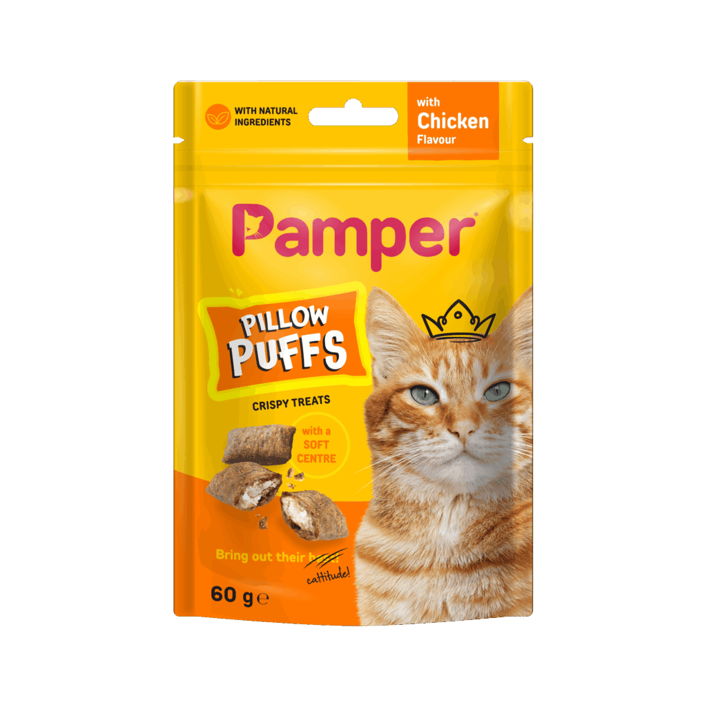 Pamper_4