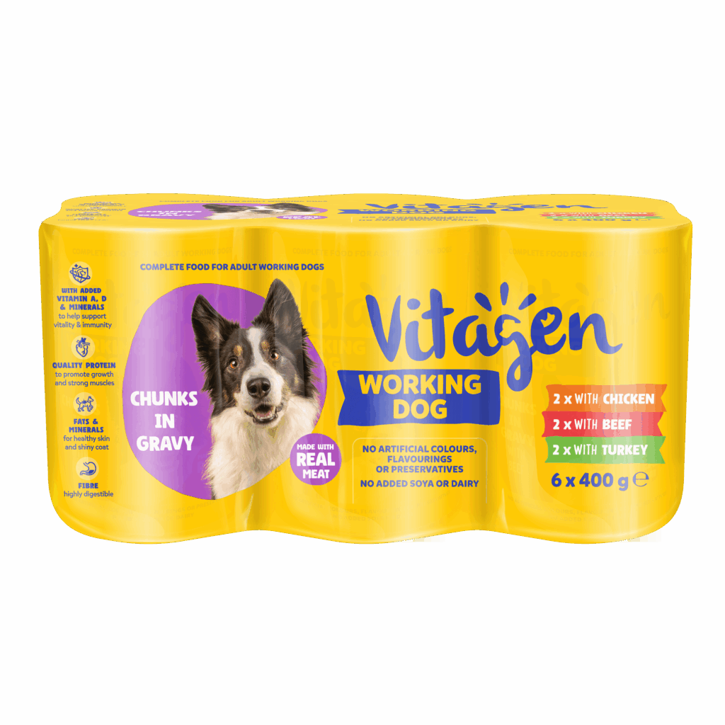 Vitagen_2